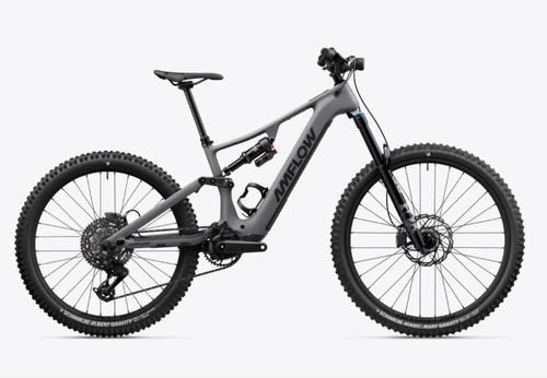 AmFlow PR Carbon Pro